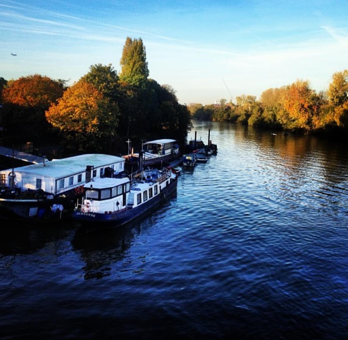 Seahorse, Boat on the River Thames