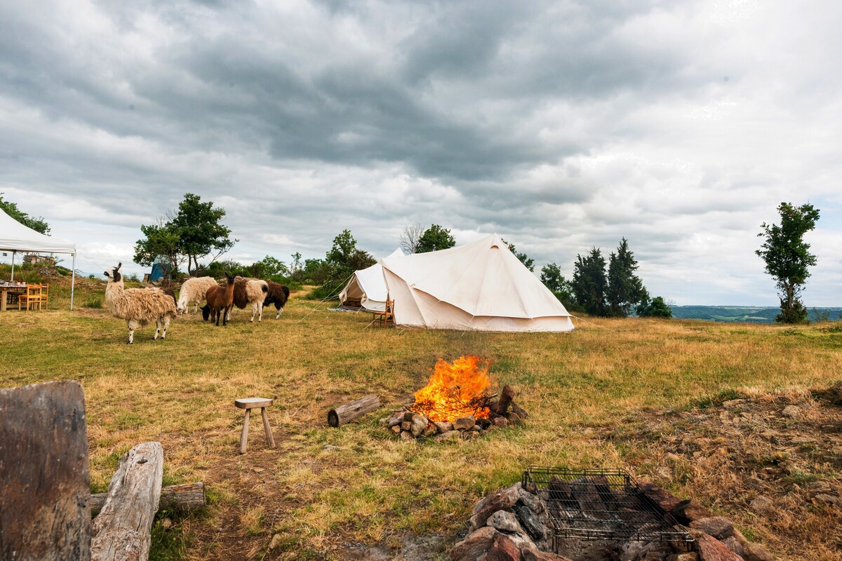 与5只大羊一起体验Bivouac私人体验