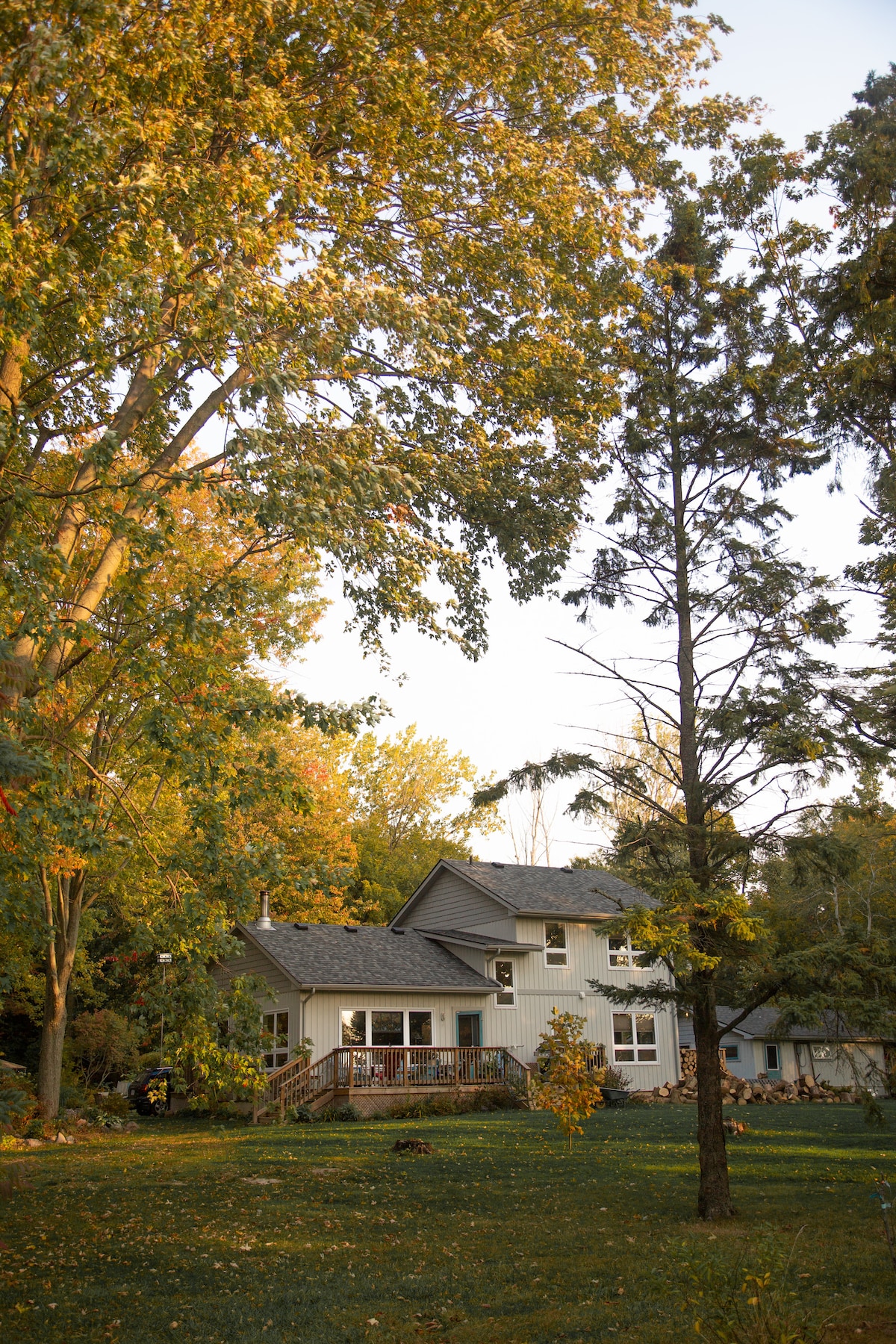 湖景小屋（ Lakeview Cottage ） -私人湖泊和海滩通道