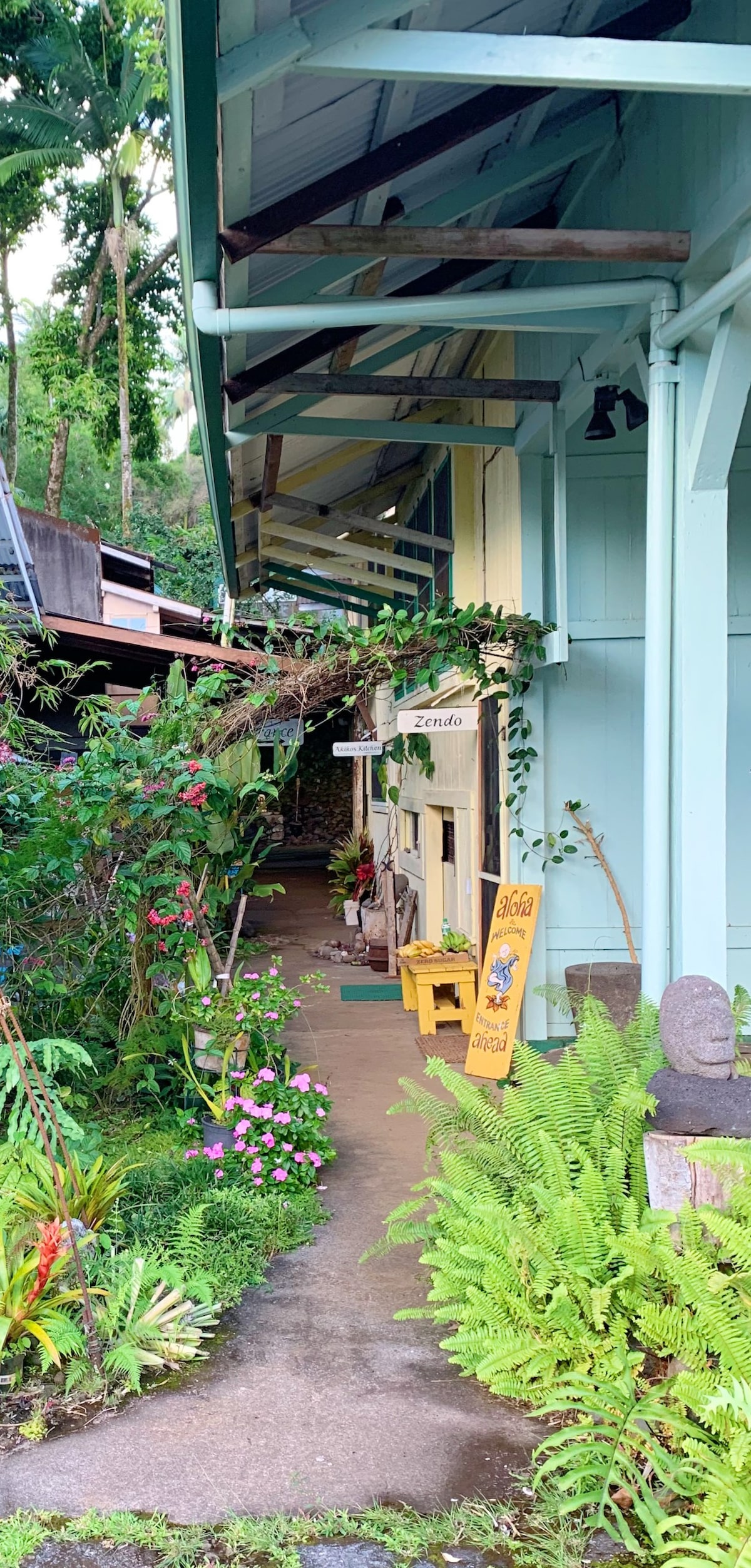 坐落在雨林中的芒果树小屋