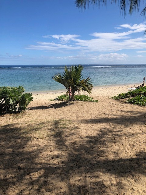 app  100 m de la plage a pied