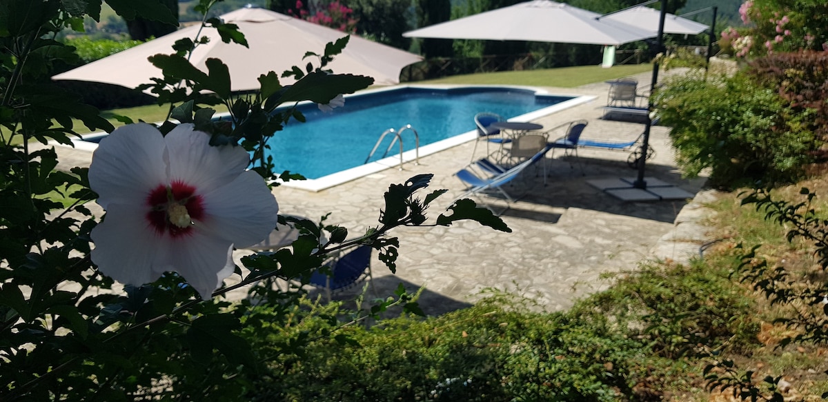 Case in Campagna con piscina Todi AppartamentoA