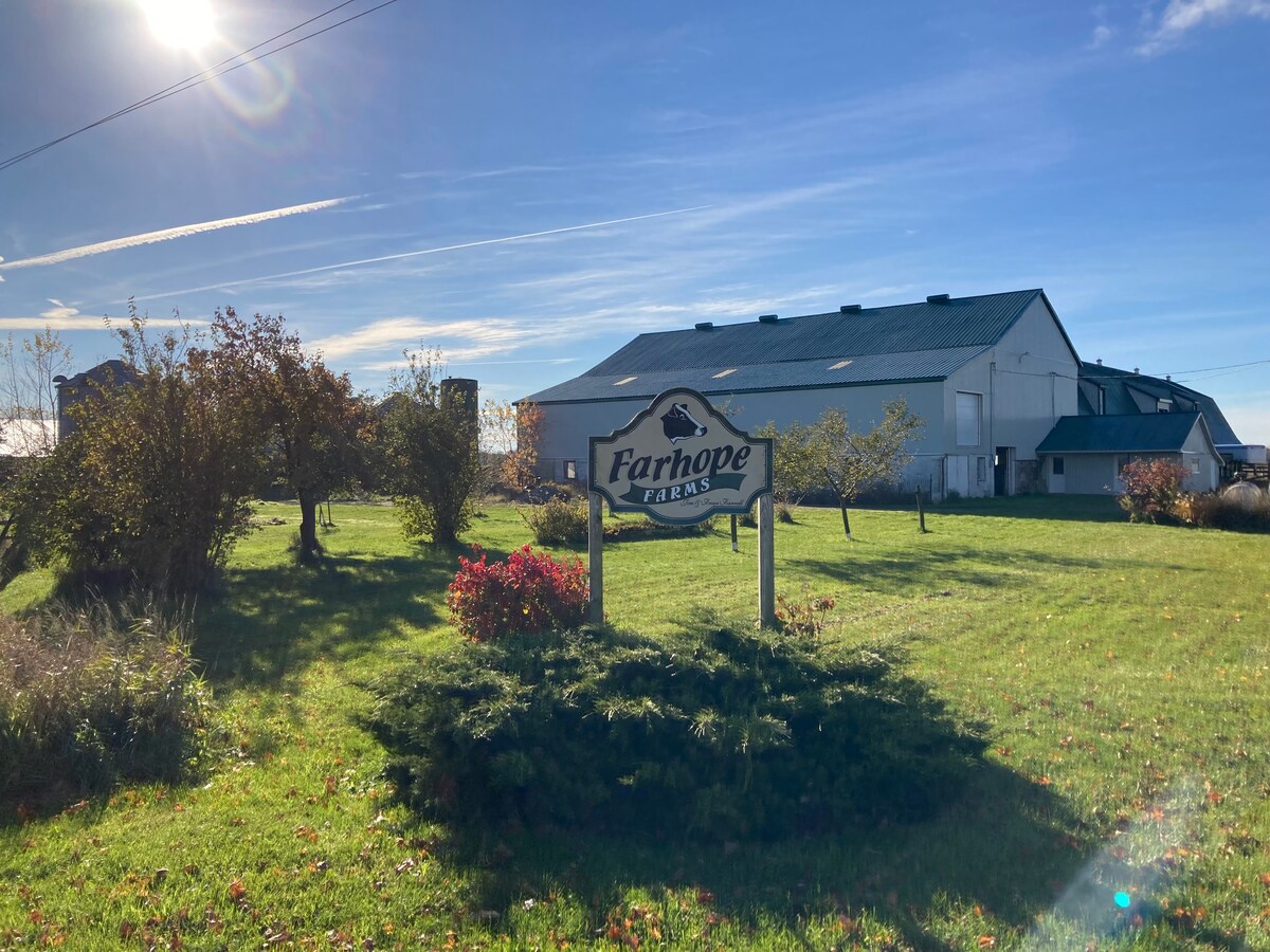 Farhope Farms Green Room 2