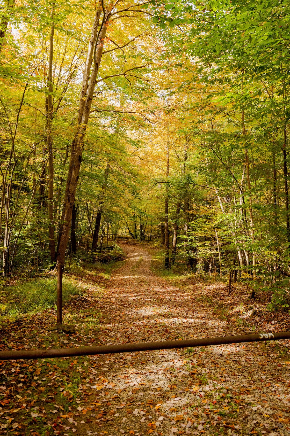 Salmon Creek Cabin - Allegheny National Forest