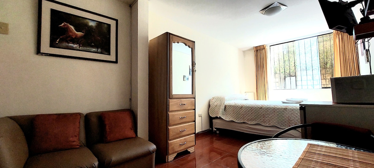 独立单间公寓-带卫生间和独立入口的客房
