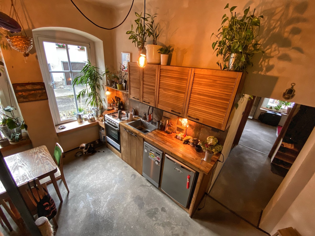 Cosy flat with a piano and lots of plants
