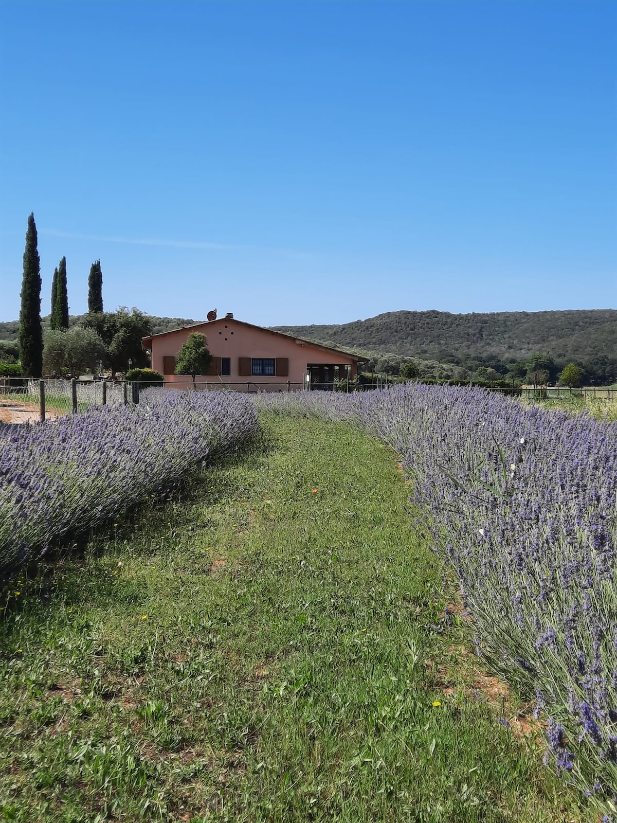 靠近大海的马伦玛公园（ Maremma Park ）小房子