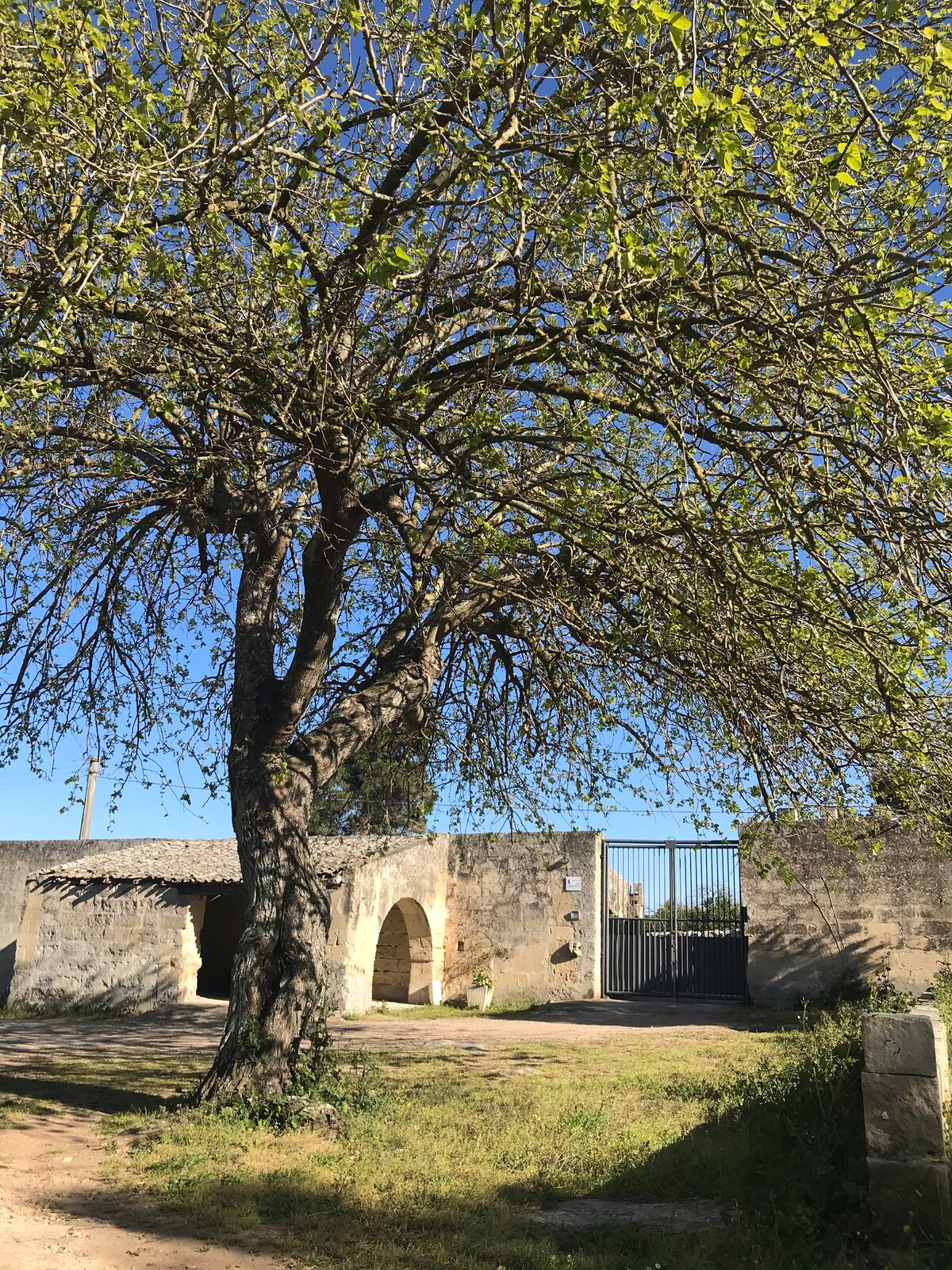 Masseria Pesanei