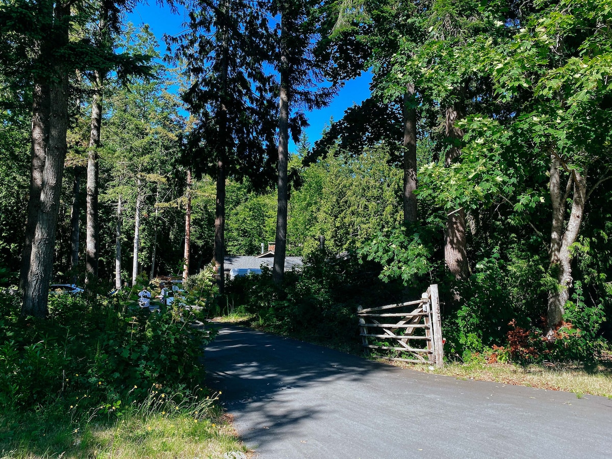 森林中的现代小屋，白岩