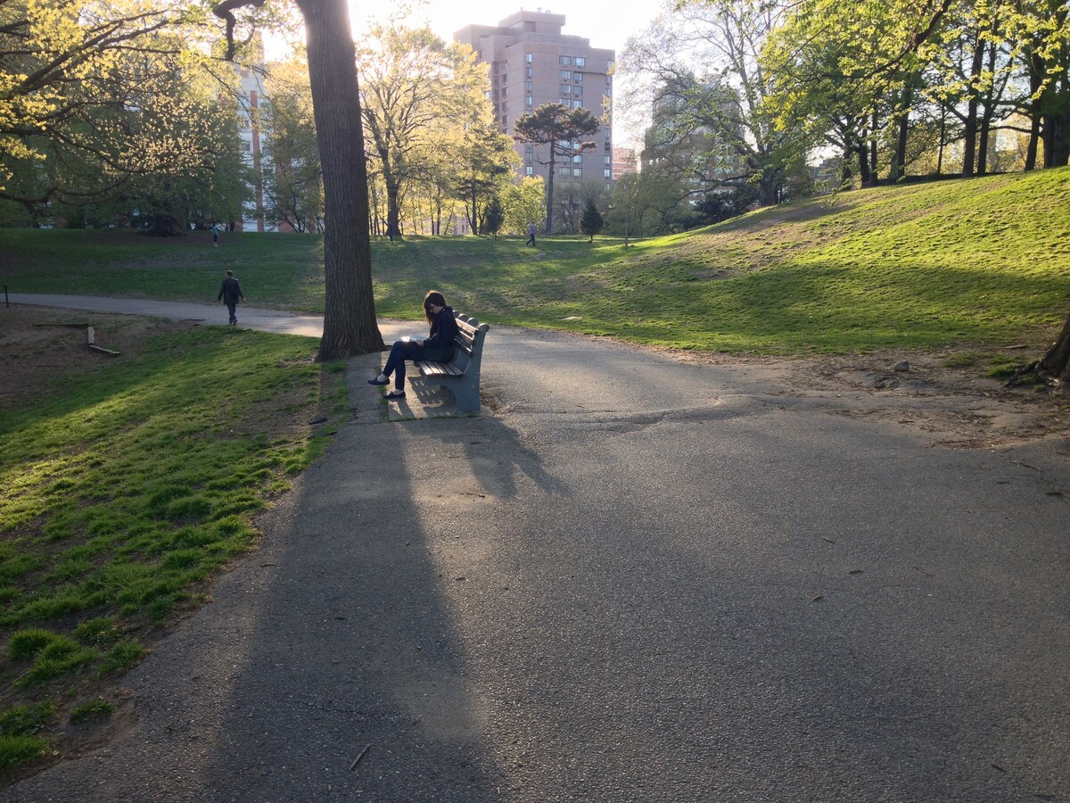 格林堡（ Fort Greene ）的隐秘宝地