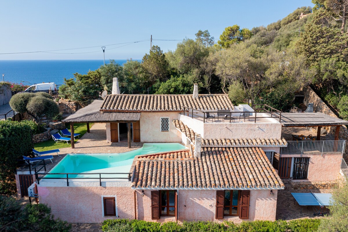 Nemea别墅：带泳池和景观的撒丁岛别墅