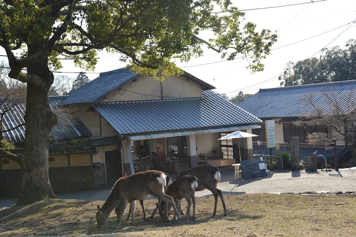 奈良市的民宿