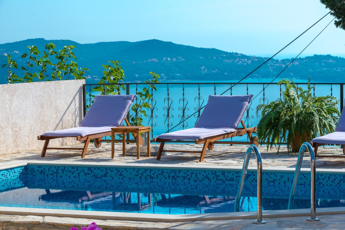 带私人泳池、按摩浴缸和海景的Villa Tereza
