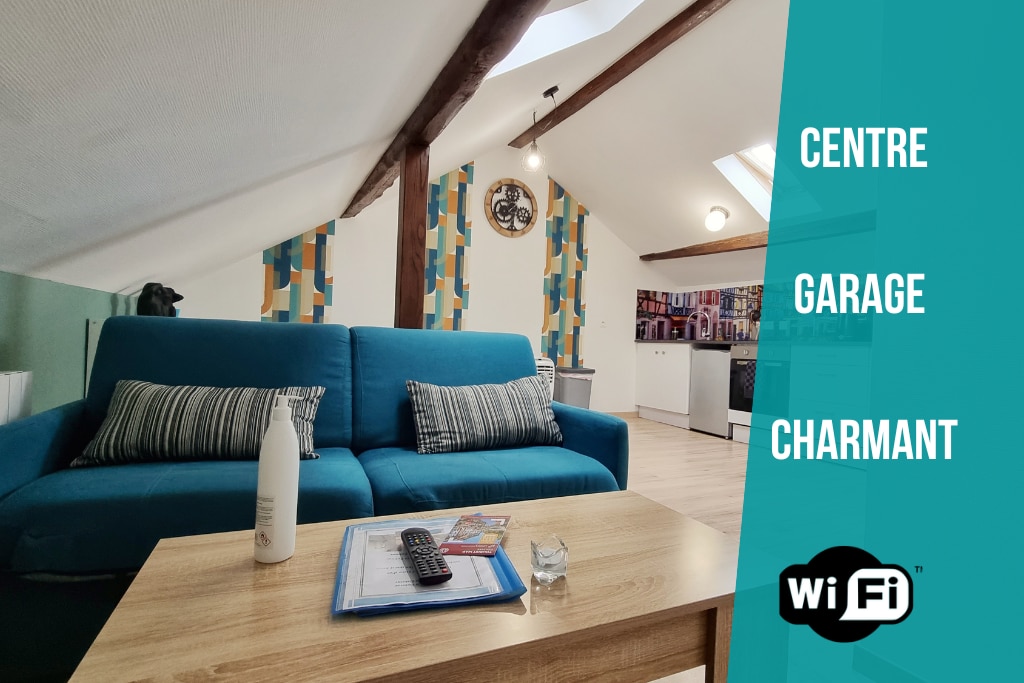 ︾ Le Contemporain ︾ Charming F2︾ Garage ︾ Centre ︾