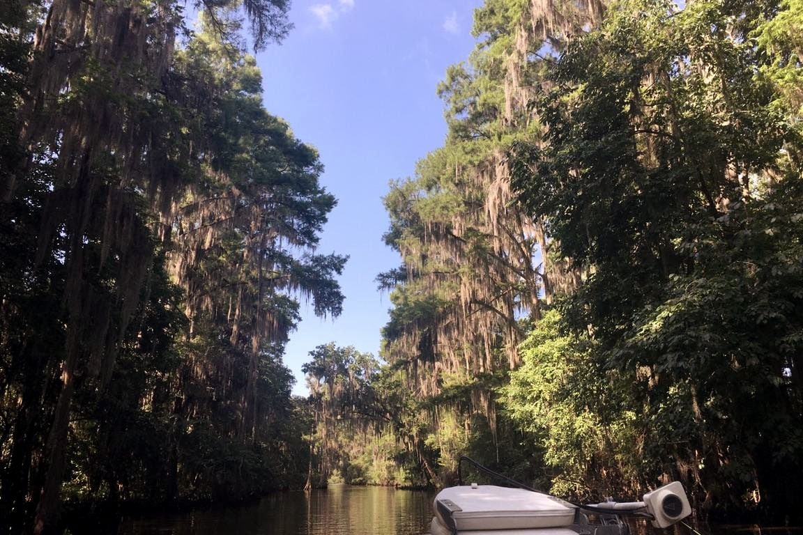 Caddo Lake Lodge海滨之旅（带私人码头）