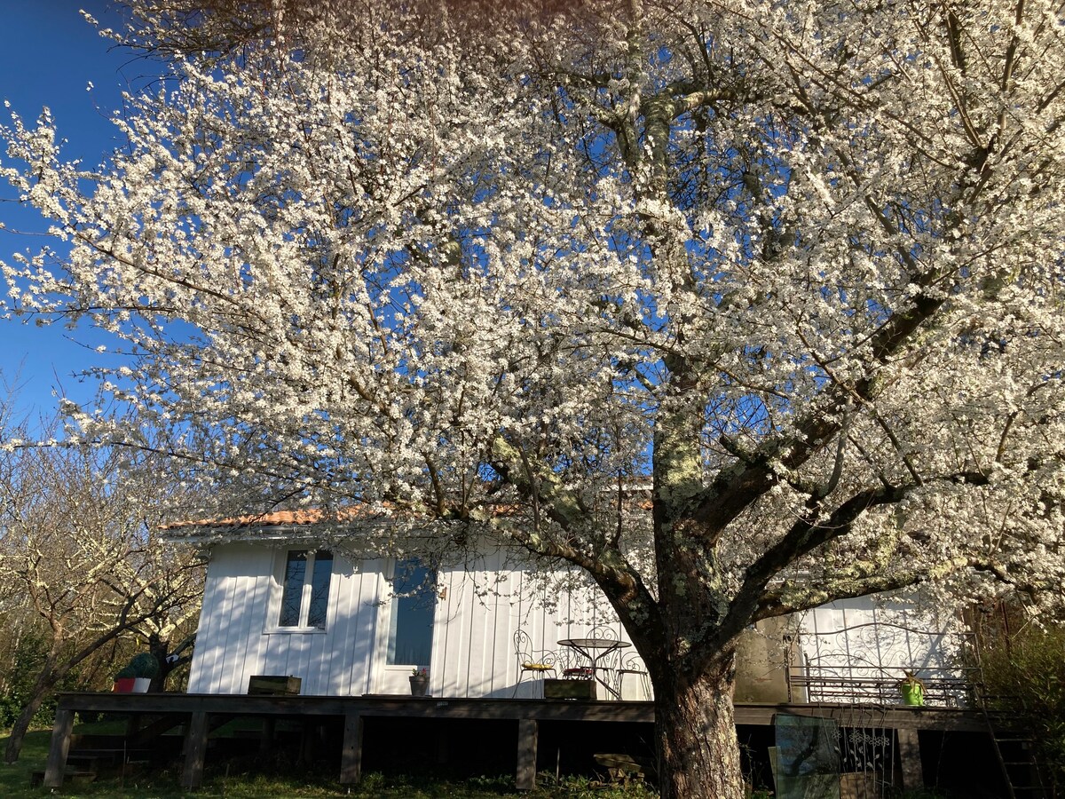 La Cabane du Roc