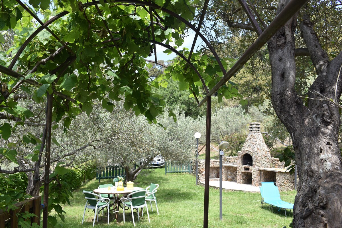 OLIVE TREE CHALET: • garden • WiFi • A/C • bbq