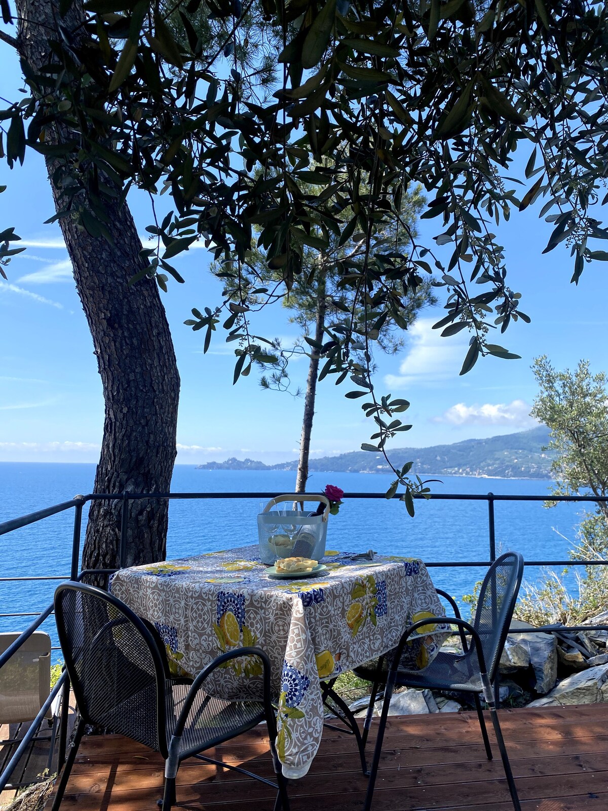 柏涛菲诺（ PORTOFINO ）附近的小屋，海景绝佳