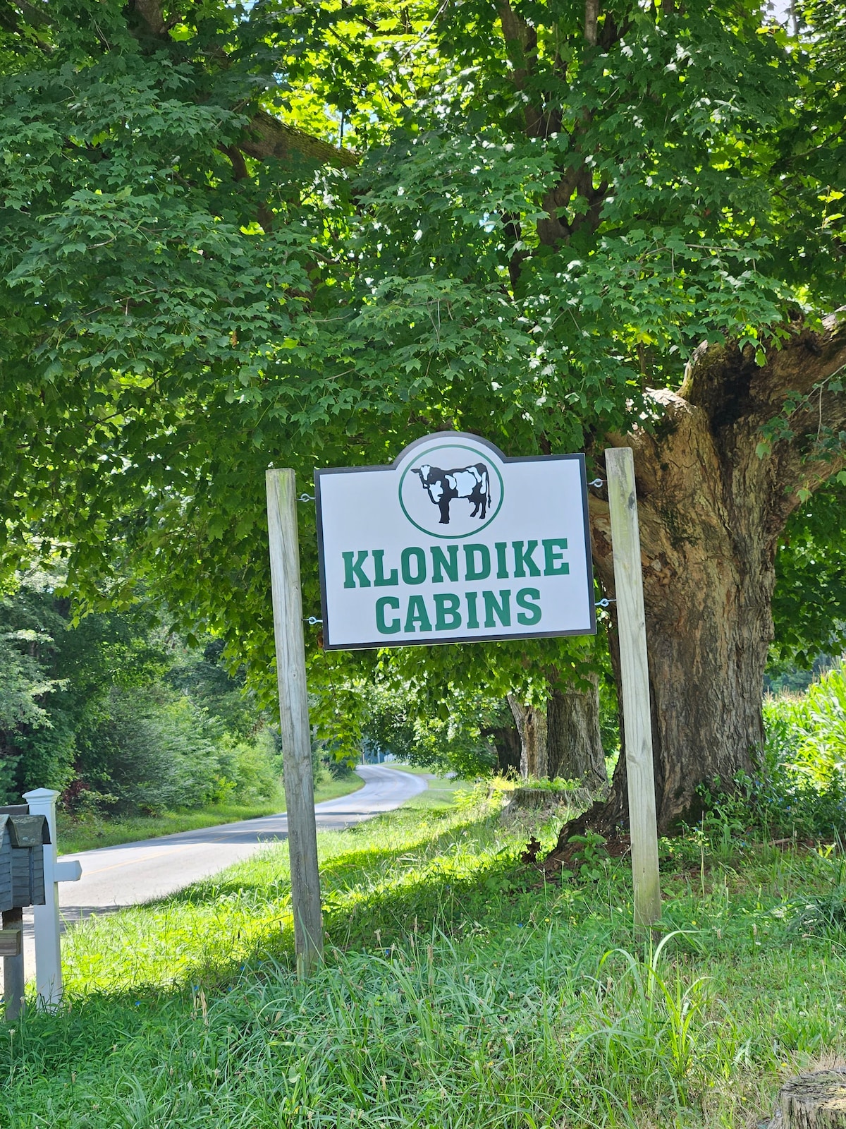 Klondike Cabins的主要小木屋