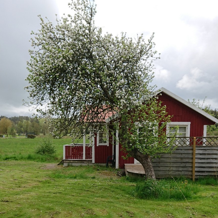 海滨Timmervik的2卧室客房小屋