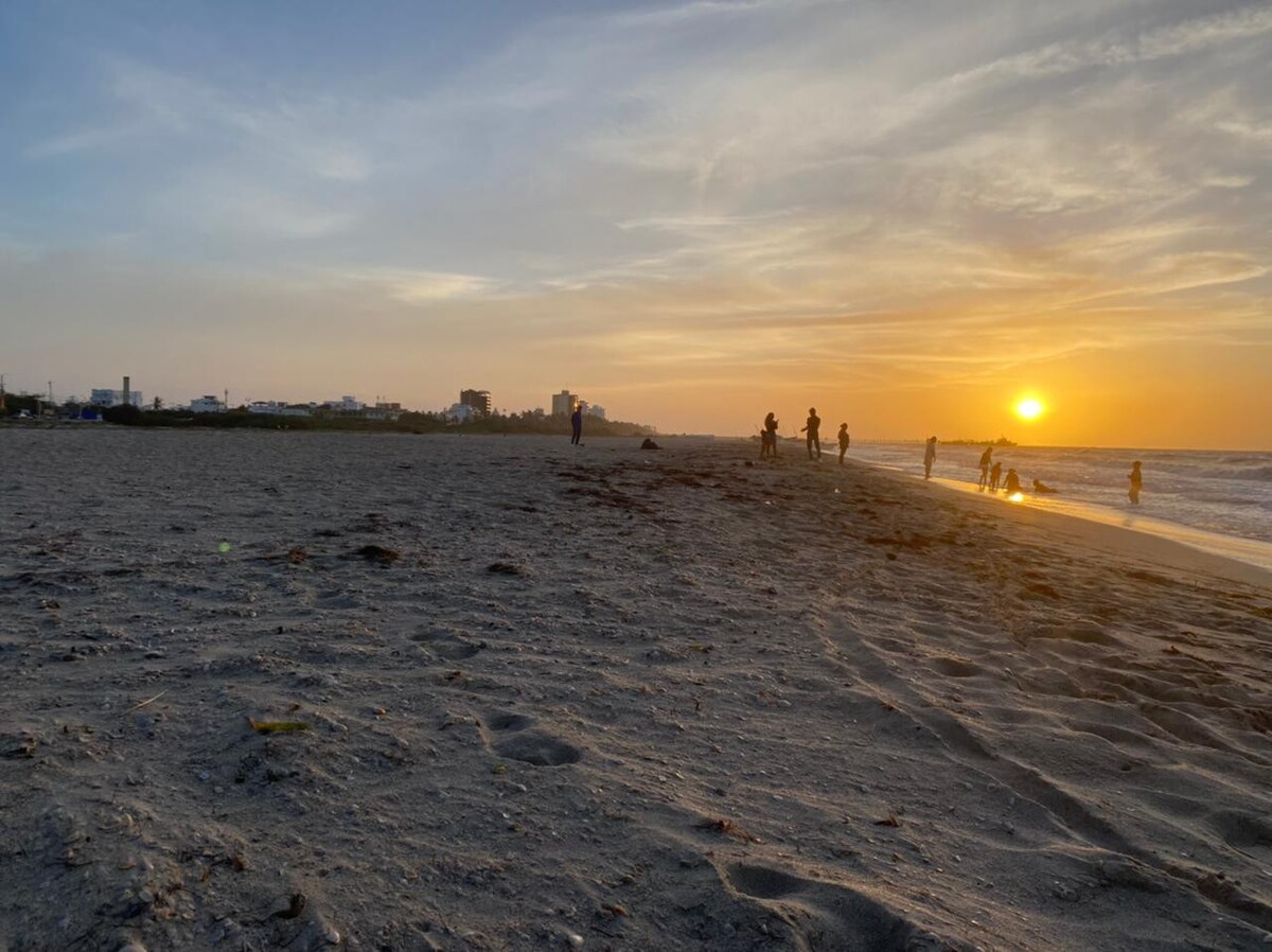 Beach View