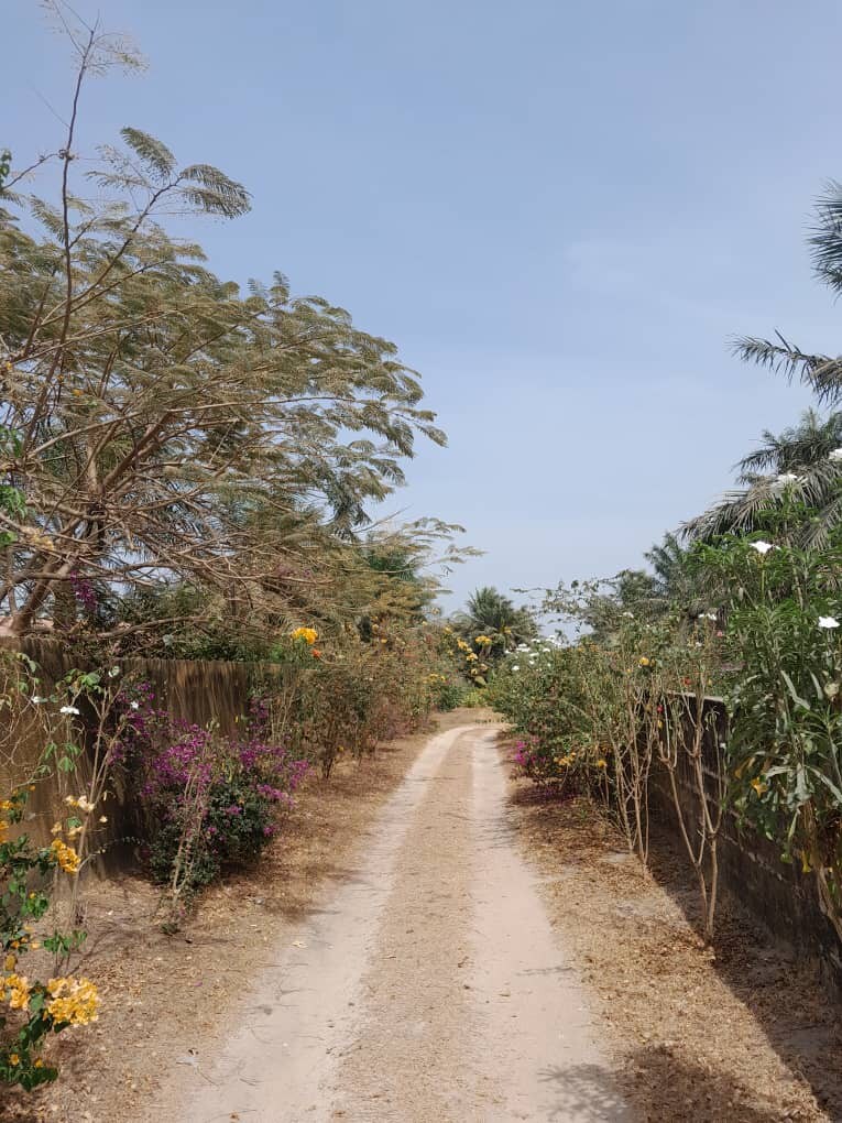 La Mangrove Villa paisible dans un cadre luxuriant