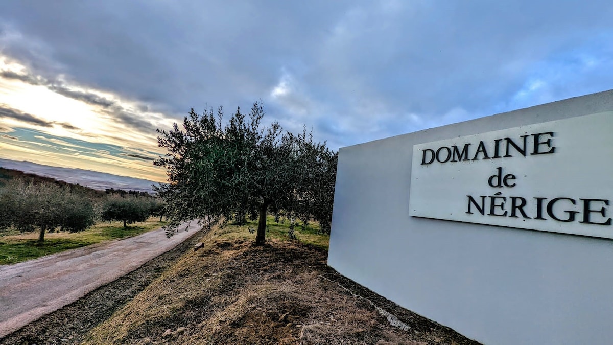 Domaine de Nerige