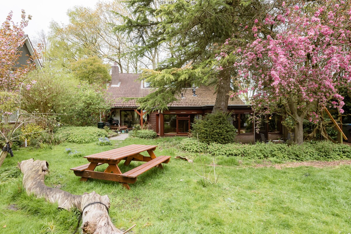 “Chez Robin Hood”花园客房