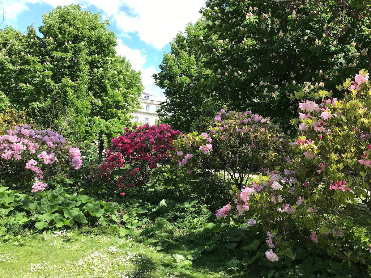 Le B Majuscule on Jardin Public, Center/Chartrons