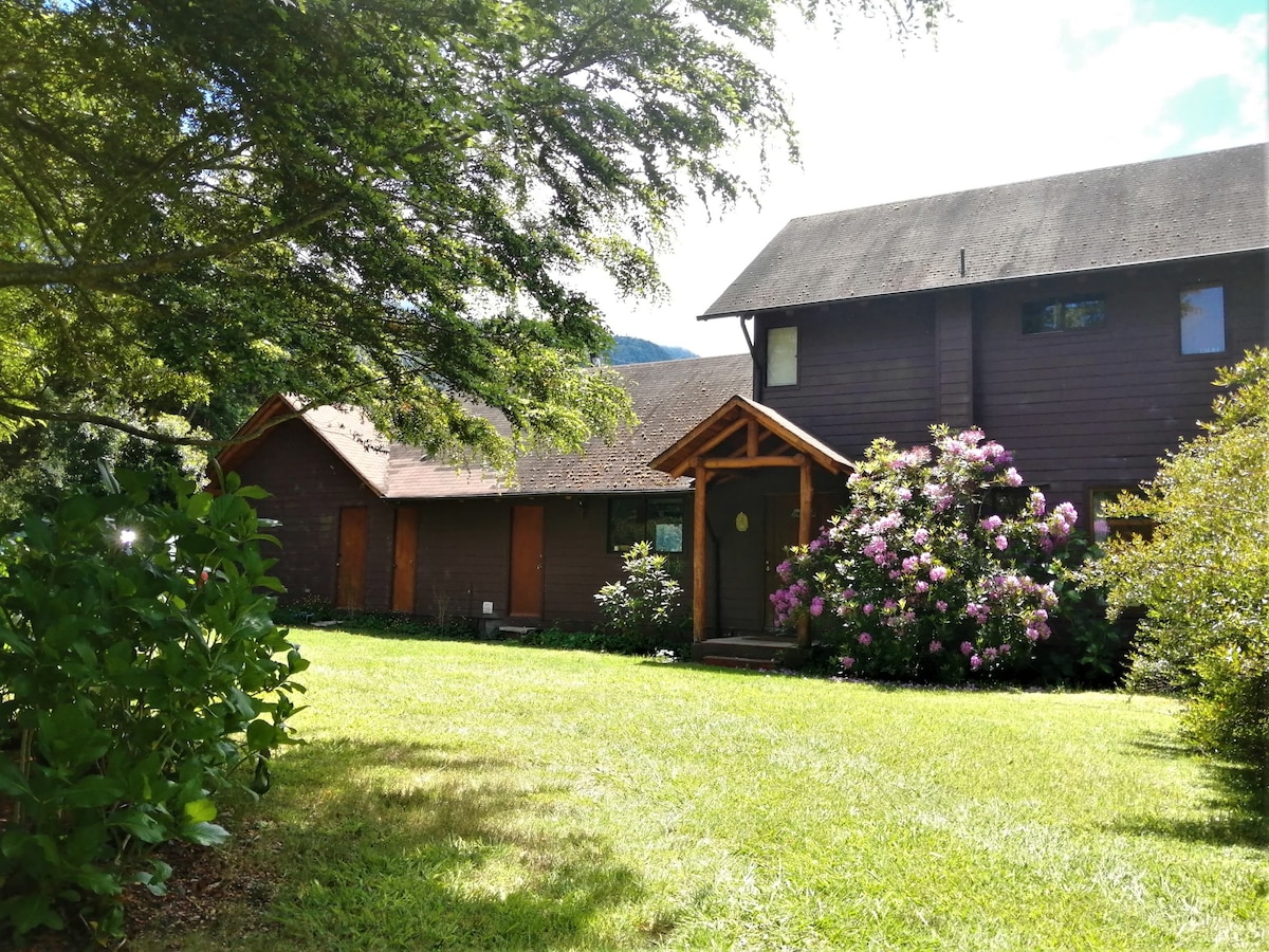 Panguipulli,  Lago Neltume, Huilo Huilo, playa