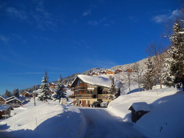 Villard-sur-Doron的民宿