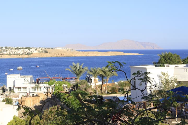 South Sinai Governorate的民宿