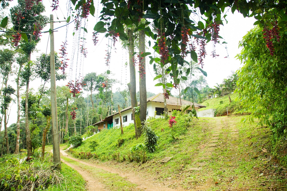 Bettathur, Coorg Cottage NO 3 @ The Nest