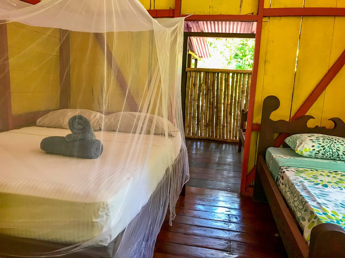 Casa Verde at Dolphin Quest Jungle Lodge