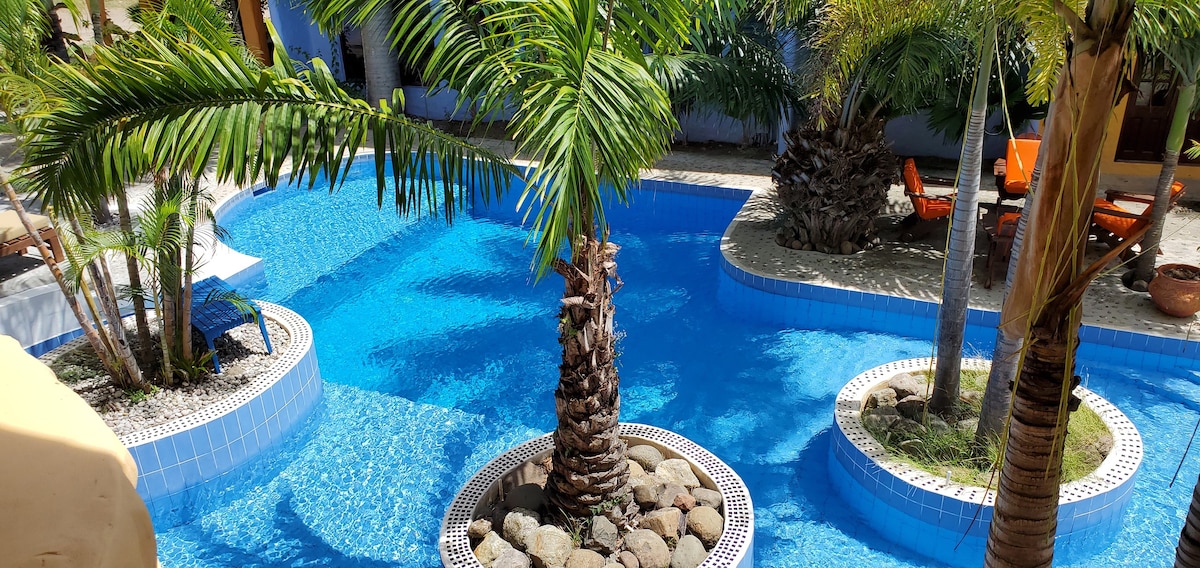 珊瑚礁景观亭的椰子棕榈客房