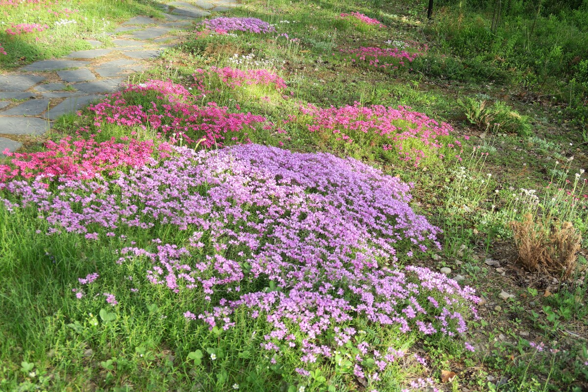 北卡雷利亚约恩苏（ Joensuu ）附近的湖畔住宅