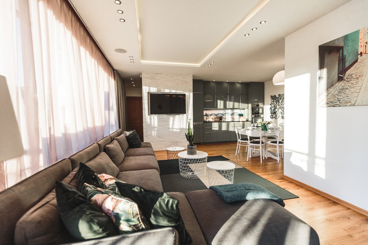Sophisticated Penthouse Apartment Downtown Riga