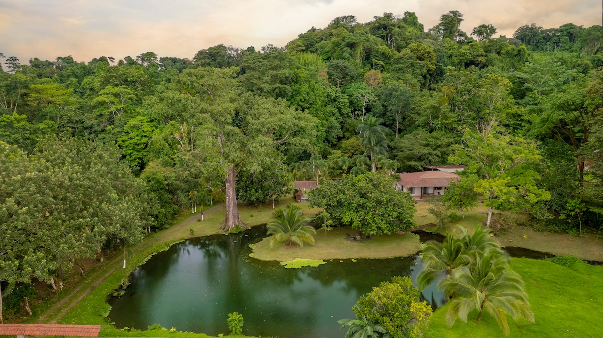 Ceiba Pond Home Rental -丛林别墅