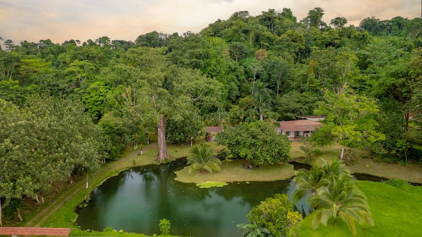La Fortuna, Costa Rica的民宿