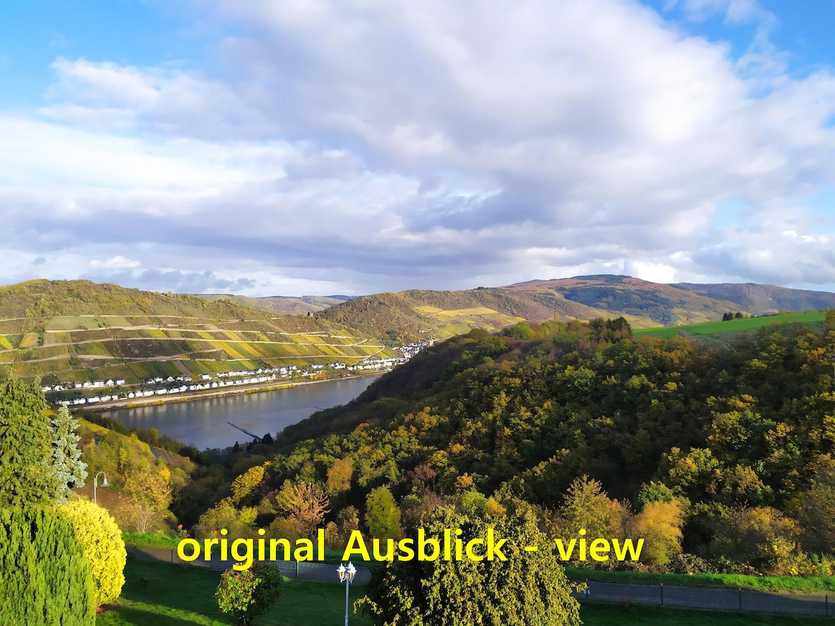 Show Rhine # 1 -高俯瞰莱茵河景观