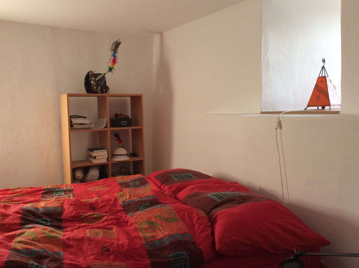 3 Z Wohnung in Oltner Altstadt, neu renoviert