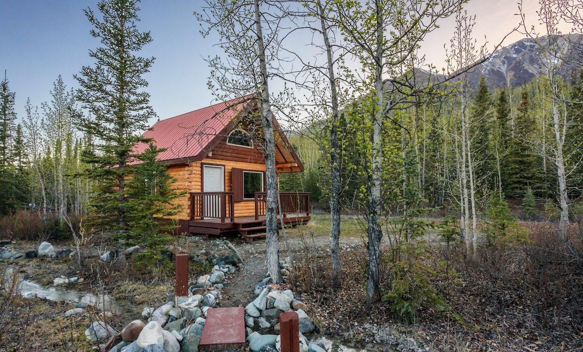 Fireweed Mountain Lodge - Erie Cabin