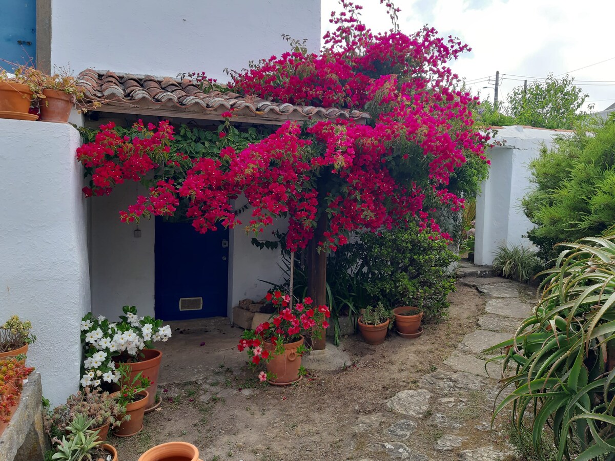 Obidos Villa with private pool and courtyard.