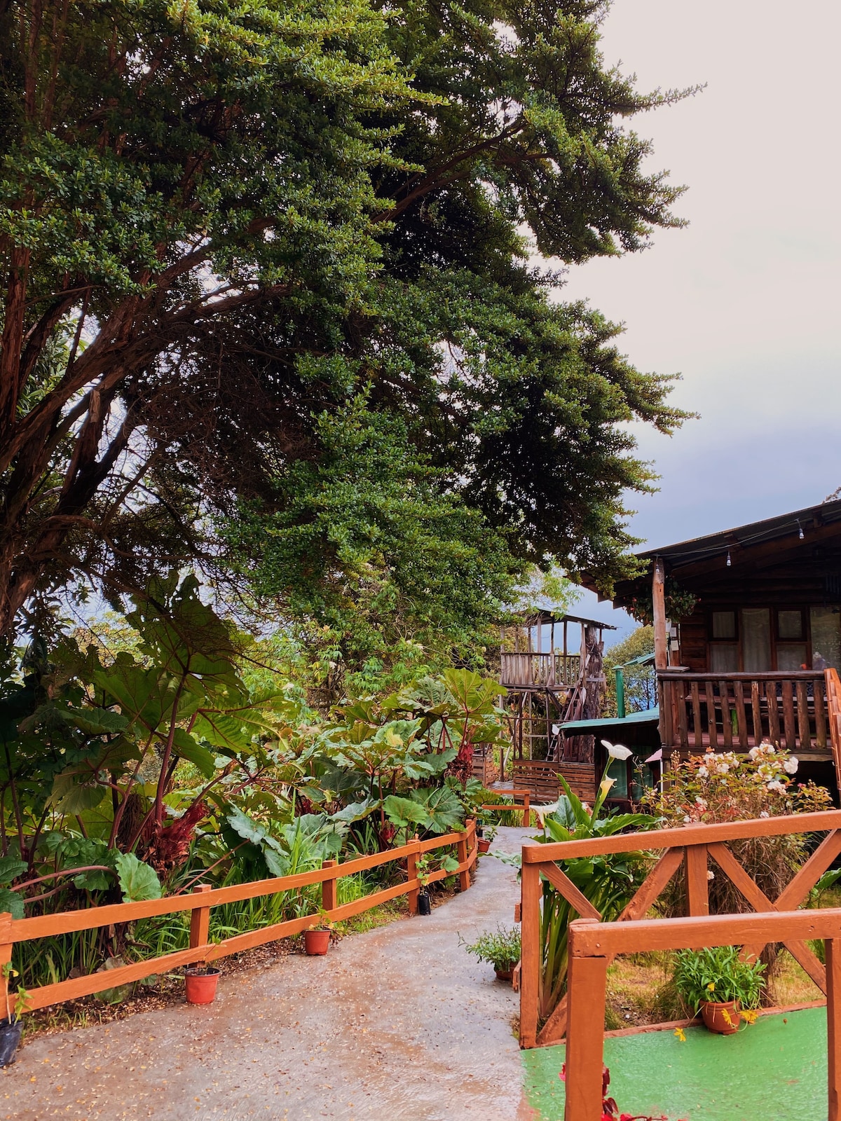 Rustic cabin on the slopes of a Volcano