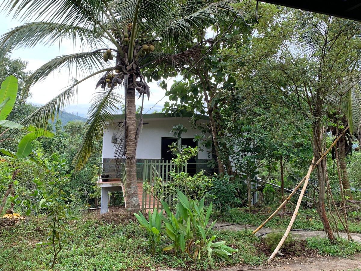 Farm house stay @Koladysorganics, Attapadi, Kerala