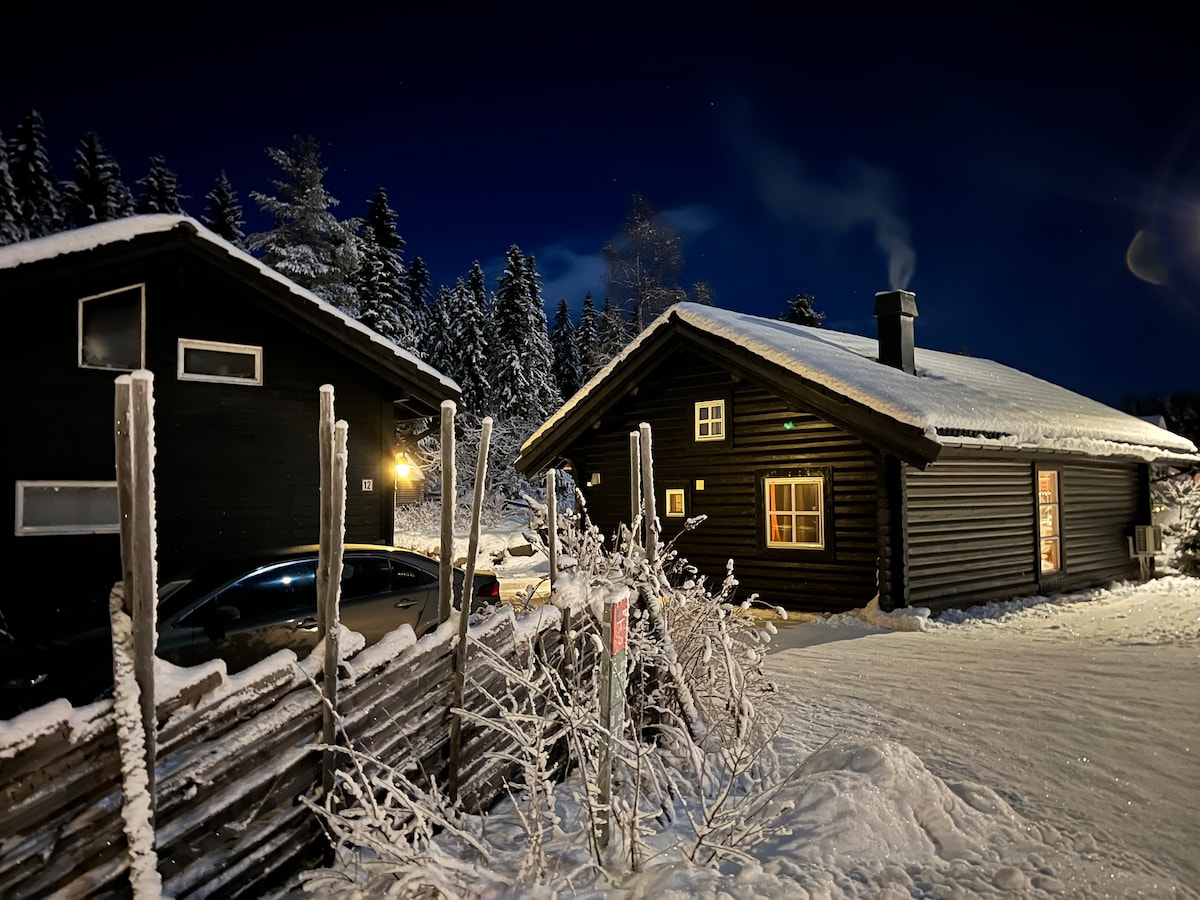 靠近Lillehammer和Sjusjøen的漂亮木屋