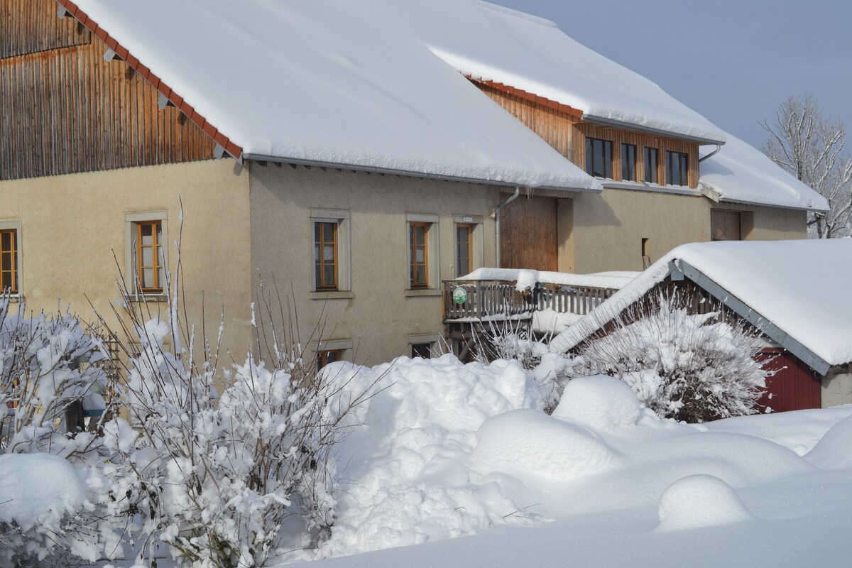 La grange des sapins