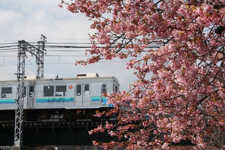 Kawazu-chō, Kamo-gun的民宿