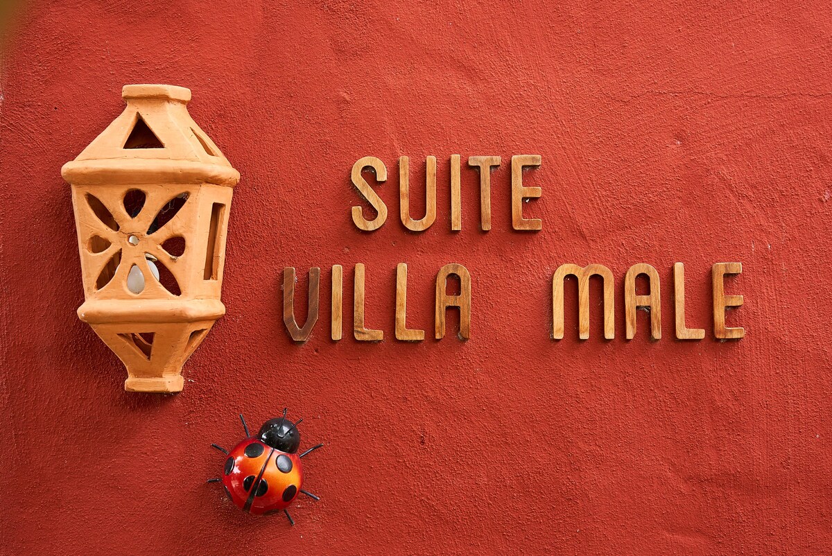 马累别墅（ Villa Male ） ，是洛斯锡洛斯（ Los Silos ）一片宁静的绿洲！
