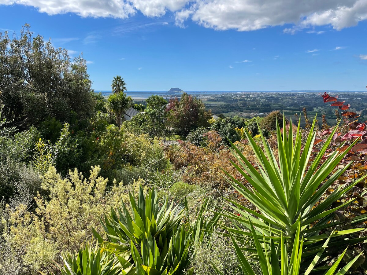 陶朗加（ Tauranga ）的海景，两间带泳池的卧室